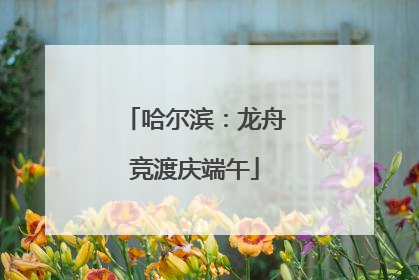 哈尔滨：龙舟竞渡庆端午
