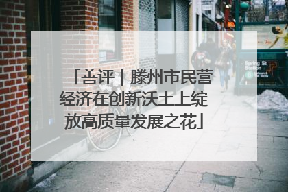 善评｜滕州市民营经济在创新沃土上绽放高质量发展之花