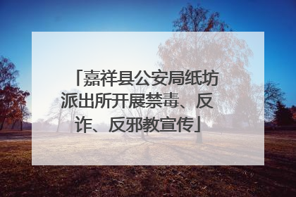 嘉祥县公安局纸坊派出所开展禁毒、反诈、反邪教宣传