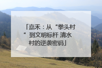 嘉禾：从“拳头村”到文明标杆 清水村的逆袭密码
