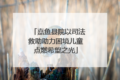 嘉鱼县院以司法救助助力困境儿童点燃希望之光