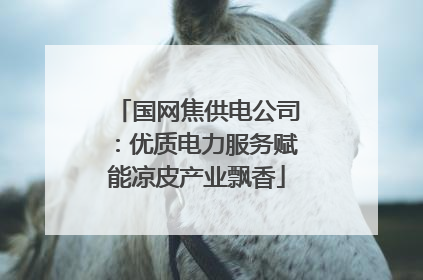 国网焦供电公司：优质电力服务赋能凉皮产业飘香