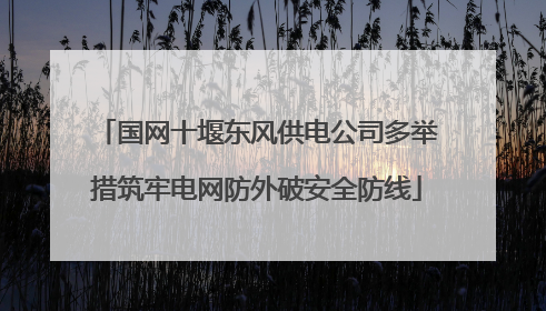 国网十堰东风供电公司多举措筑牢电网防外破安全防线