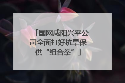国网咸阳兴平公司全面打好抗旱保供“组合拳”