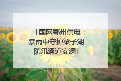 国网鄂州供电：暴雨中守护梁子湖防汛通道安澜