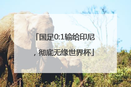 国足0:1输给印尼，彻底无缘世界杯