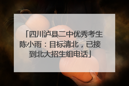 四川泸县二中优秀考生陈小雨：目标清北，已接到北大招生组电话