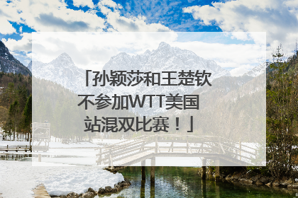 孙颖莎和王楚钦不参加WTT美国站混双比赛！