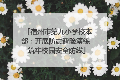 宿州市第九小学校本部：开展防震避险演练 筑牢校园安全防线