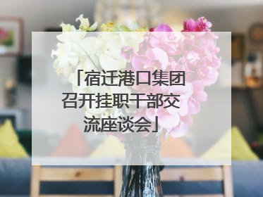 宿迁港口集团召开挂职干部交流座谈会