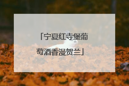 宁夏红寺堡葡萄酒香漫贺兰