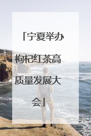 宁夏举办枸杞红茶高质量发展大会