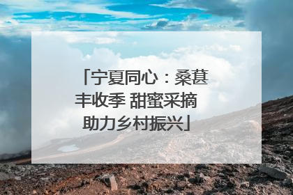 宁夏同心：桑葚丰收季 甜蜜采摘助力乡村振兴