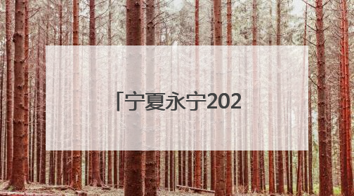 宁夏永宁2025年残疾人文化进家庭“五个一”项目温暖启航