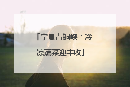 宁夏青铜峡：冷凉蔬菜迎丰收