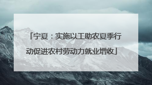 宁夏：实施以工助农夏季行动促进农村劳动力就业增收
