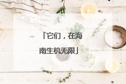 它们，在海南生机无限
