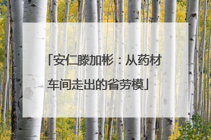安仁滕加彬：从药材车间走出的省劳模