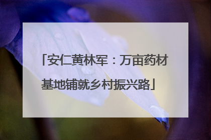 安仁黄林军：万亩药材基地铺就乡村振兴路