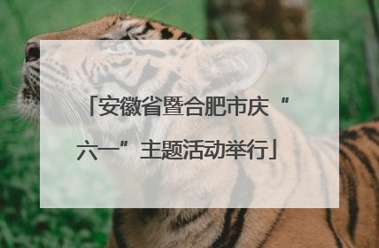 安徽省暨合肥市庆“六一”主题活动举行