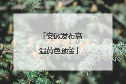 安徽发布高温黄色预警