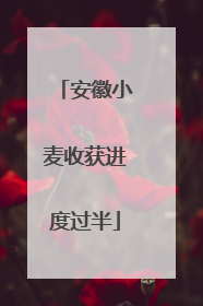 安徽小麦收获进度过半