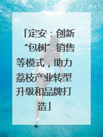 定安：创新“包树”销售等模式，助力荔枝产业转型升级和品牌打造