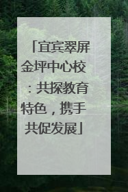 宜宾翠屏金坪中心校：共探教育特色，携手共促发展