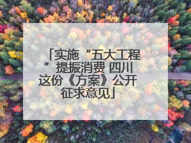 实施“五大工程”提振消费 四川这份《方案》公开征求意见
