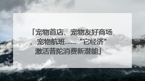 宠物首店、宠物友好商场、宠物航班……“它经济”激活普陀消费新潜能