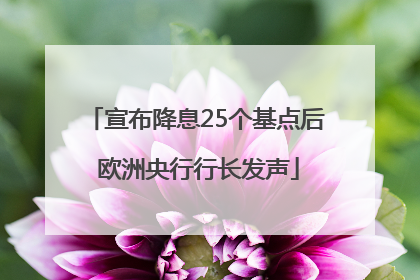 宣布降息25个基点后 欧洲央行行长发声