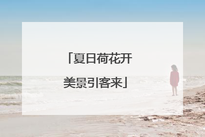 夏日荷花开 美景引客来