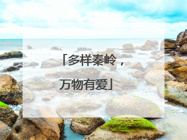 多样秦岭，万物有爱
