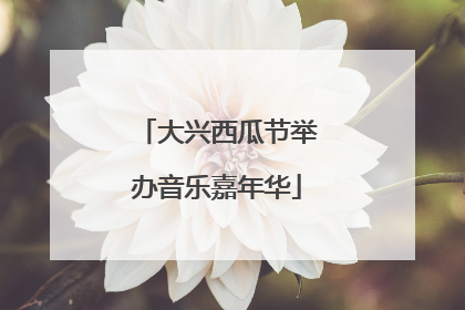 大兴西瓜节举办音乐嘉年华