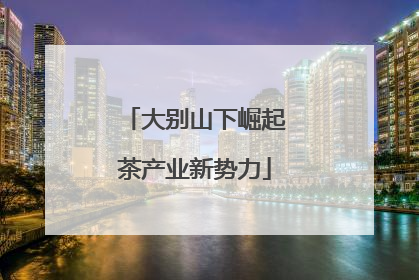 大别山下崛起茶产业新势力