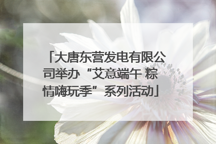 大唐东营发电有限公司举办“艾意端午 粽情嗨玩季”系列活动