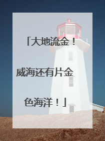 大地流金！威海还有片金色海洋！