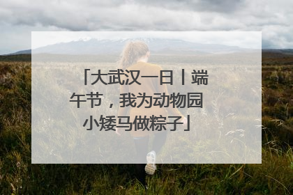 大武汉一日丨端午节，我为动物园小矮马做粽子