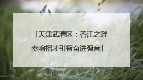 天津武清区：香江之畔奏响招才引智奋进强音