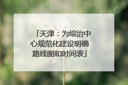 天津：为综治中心规范化建设明确路线图和时间表