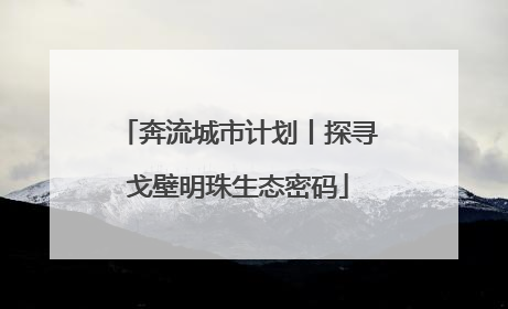 奔流城市计划丨探寻戈壁明珠生态密码