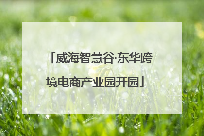 威海智慧谷·东华跨境电商产业园开园