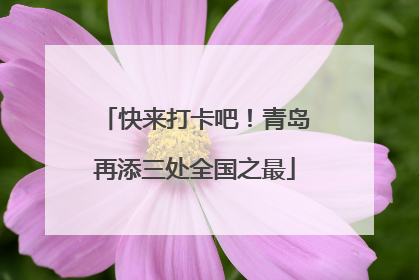快来打卡吧！青岛再添三处全国之最