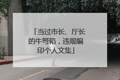 当过市长、厅长的牛弩韬，违规编印个人文集