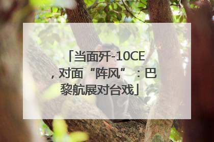 当面歼-10CE，对面“阵风”：巴黎航展对台戏