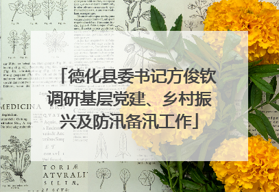 德化县委书记方俊钦调研基层党建、乡村振兴及防汛备汛工作