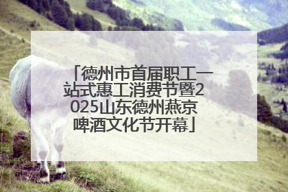 德州市首届职工一站式惠工消费节暨2025山东德州燕京啤酒文化节开幕