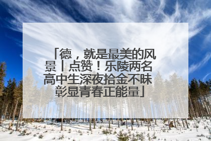 德，就是最美的风景丨点赞！乐陵两名高中生深夜拾金不昧 彰显青春正能量