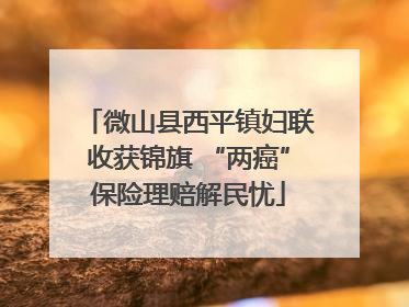 微山县西平镇妇联收获锦旗 “两癌”保险理赔解民忧