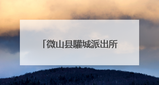 微山县驩城派出所开展夏季夜查行动
